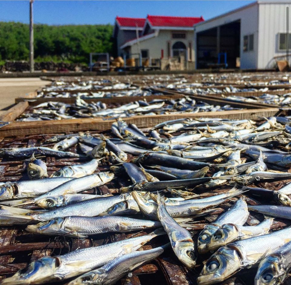 89039273_726213661116550_2586456153491767296_o 89039273_726213661116550_2586456153491767296_o